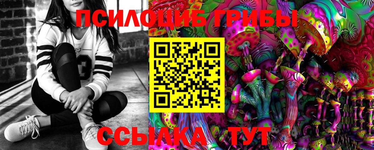 Псилоцибиновые грибы мицелий  Галлюциногенные грибы Psilocybe  Павловский Посад  купить наркотики сайты  Вход с VPN 