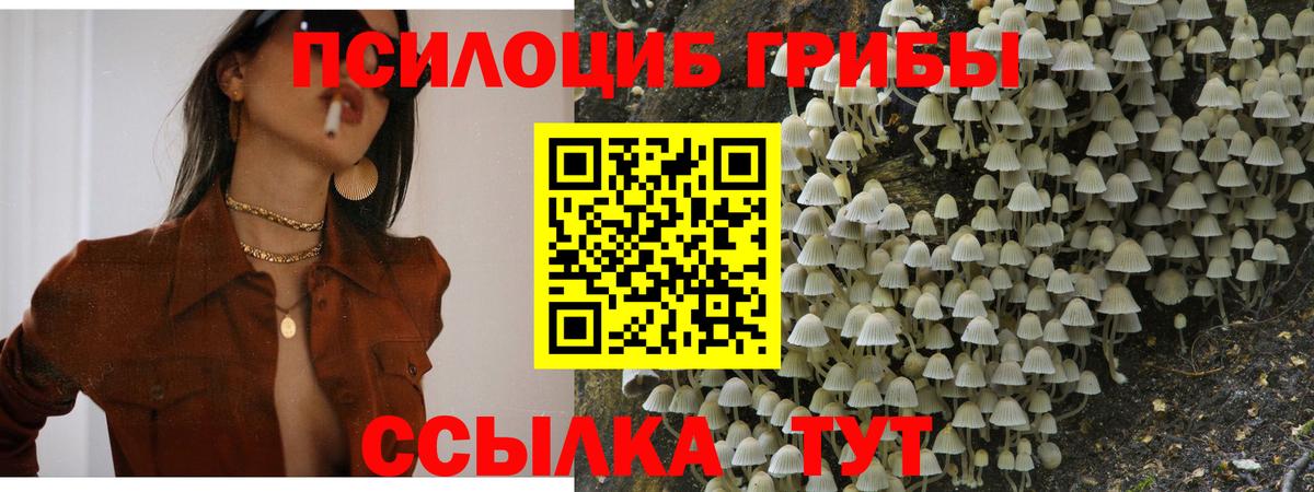 Псилоцибиновые грибы GOLDEN TEACHER Павловский Посад